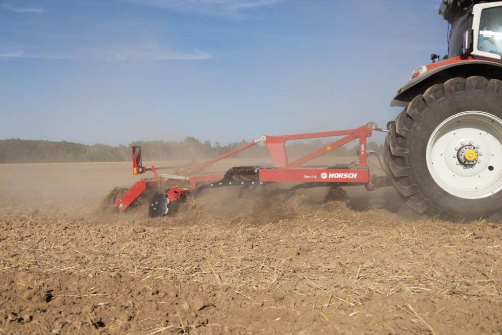 horsch-tiger.jpg horsch-tiger.jpg