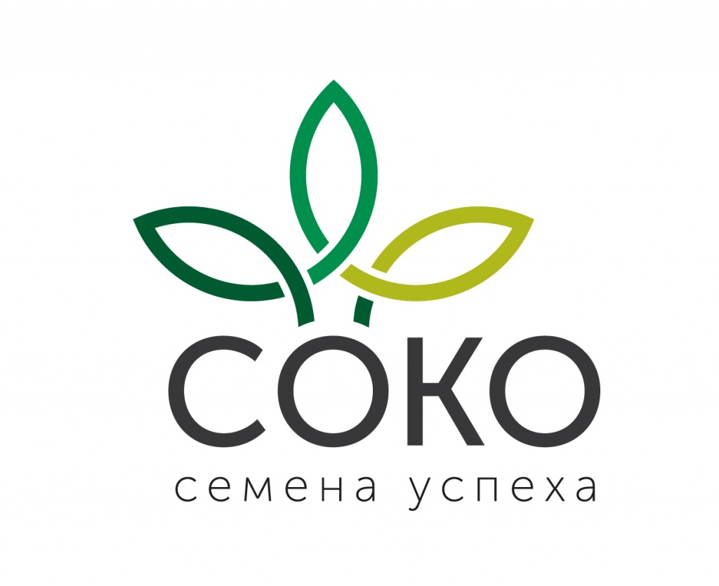 logo-01.jpg logo-01.jpg