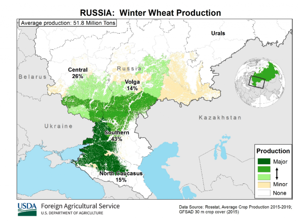 производство озимой пшеницы в россии