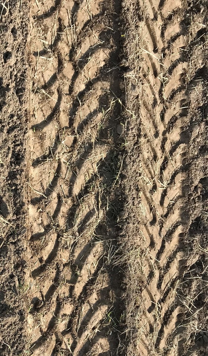 389VF_track
