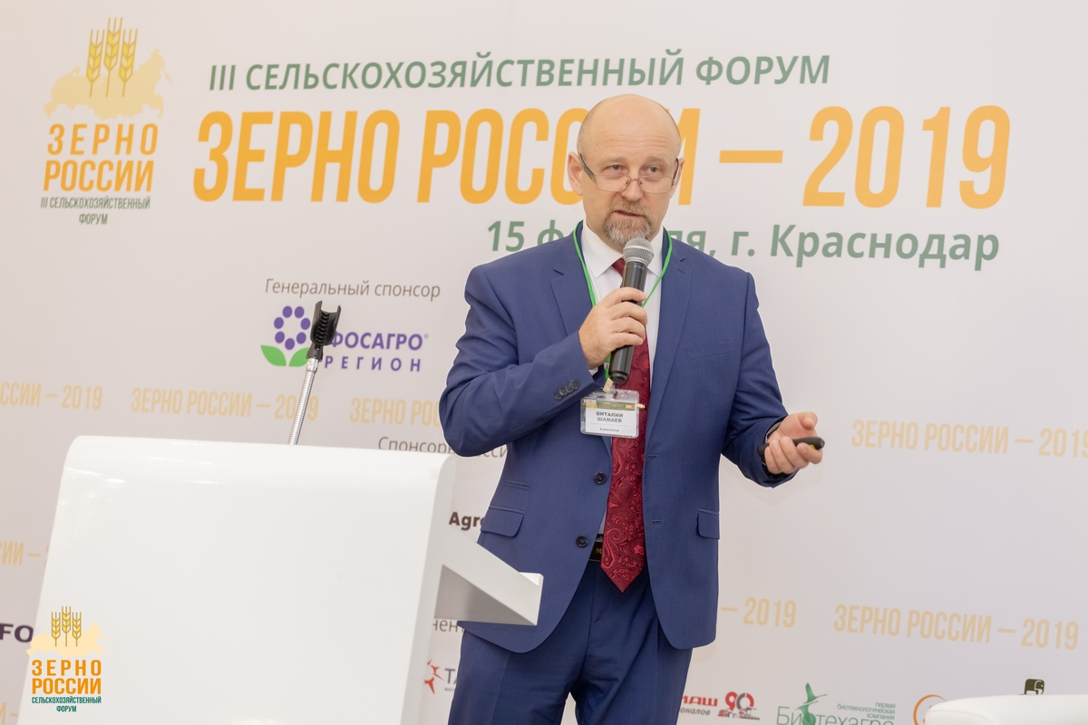шамаев