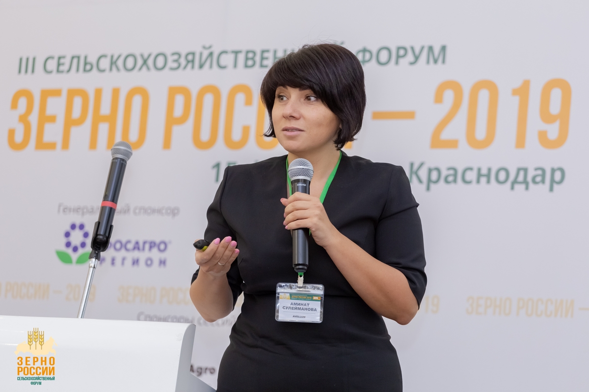 сулейманова